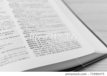 英語-漢語詞典“ spiritual” 73996475