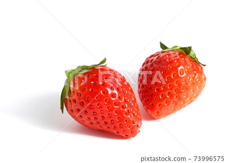 Ichigo（Fagacao） 73996575