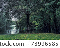 River into the woods 73996585