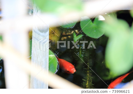 The streets of Sawara The streets of Sawara 73996621