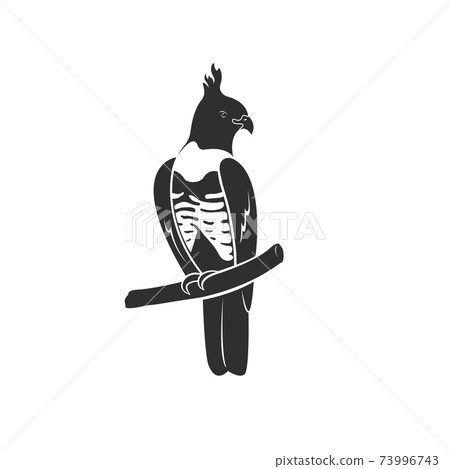 Vector of black baza bird design on white background. Easy editable layered vector illustration. Wild Animals. 73996743