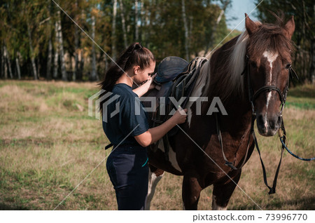 The process of saddling a horse is demonstrated by a young instructor a girl in equestrian sports The process of saddling a horse is demonstrated by a young instructor a girl in equestrian sports 73996770