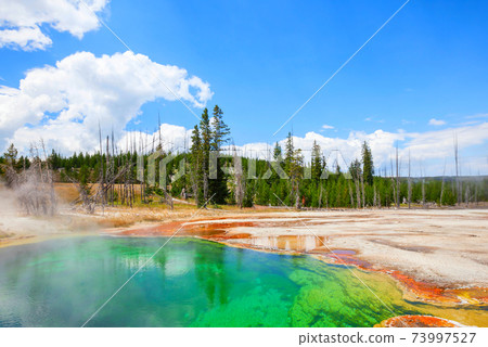 Yellowstone 73997527