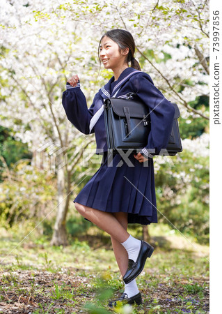 走在櫻花下的女學生 73997856