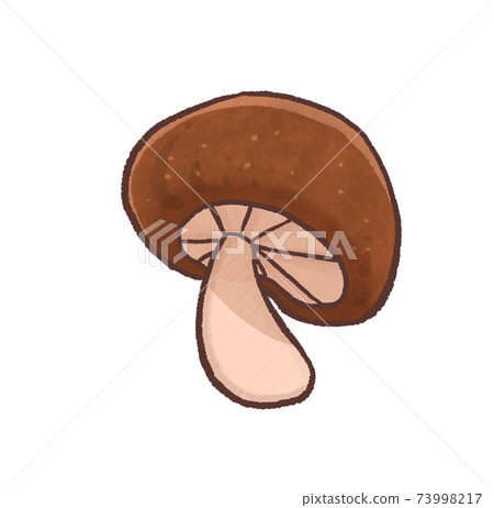 R：更多童話蘑菇香菇B 73998217