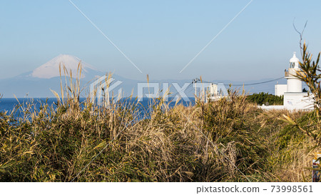 Winter in Jogashima, Miura City, Kanagawa Prefecture, on the Shonan Miura Peninsula 73998561