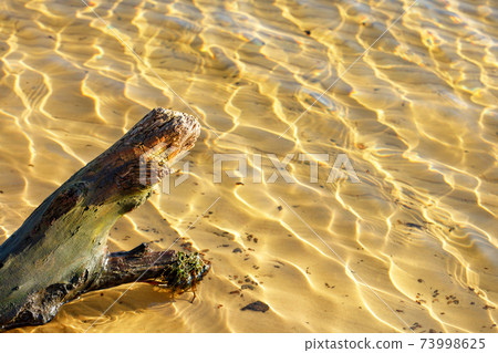 Old driftwood of a tree trunk against the background of transparent water of sandy shallow water in sunlight. Old driftwood of a tree trunk against the background of transparent water of sandy shallow water in sunlight. 73998625
