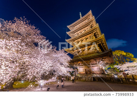 Sakura in Toji, Kyoto 73998933