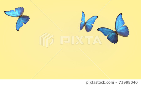 flight of summer blue butterflies. butterfly on a light background. 3d rendering 73999040