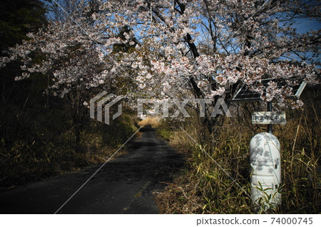 Decontamination 74000745