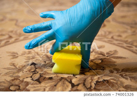 Cleaning with a sponge in a blue rubber glove 74001326