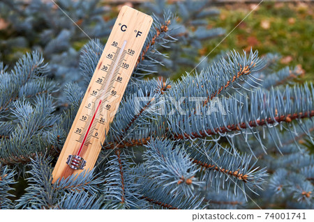Close-up photo of household alcohol thermometer in spruce branches showing temperature in degrees Celsius. Outdoors. Close-up, selective focus Close-up photo of household alcohol thermometer in spruce branches showing temperature in degrees Celsius. Outdoors. Close-up, selective focus 74001741