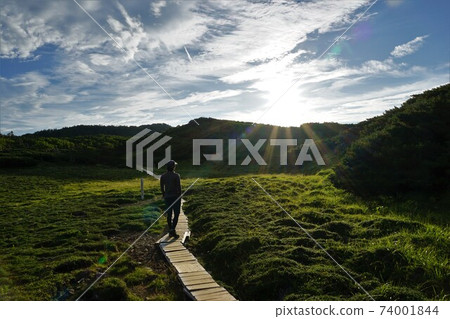 Climbers walking along the wooden path of Mt. Tekari 74001844