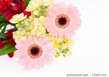 Bouquet gerbera alstroemeria spray stock Bouquet gerbera alstroemeria spray stock 74002144