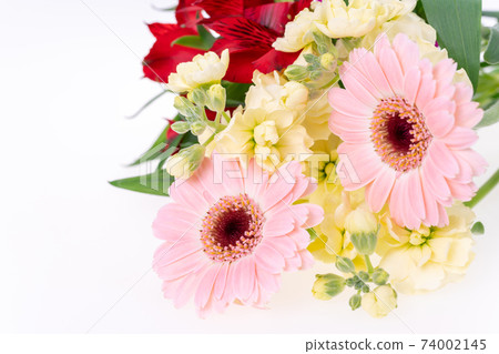 Bouquet gerbera alstroemeria spray stock Bouquet gerbera alstroemeria spray stock 74002145