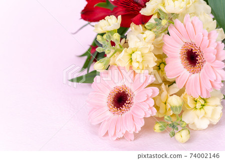 Bouquet gerbera alstroemeria spray stock 74002146
