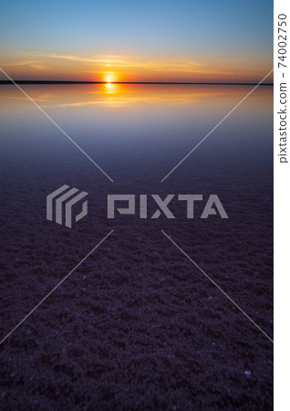 Sunset Genichesk pink salty lake, Ukraine Sunset Genichesk pink salty lake, Ukraine 74002750