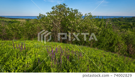 Dnipro river blossoming shores summer landscape, Trakhtemyriv historical hilly peninsula on Kaniv water Reservoir Cherkasy Region, Ukraine. Dnipro river blossoming shores summer landscape, Trakhtemyriv historical hilly peninsula on Kaniv water Reservoir Cherkasy Region, Ukraine. 74002829