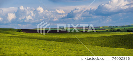 Spring evening view with rapeseed yellow blooming fields in sunlight with cloud shadows. Natural seasonal, good weather, climate, eco, farming, countryside beauty concept. Spring evening view with rapeseed yellow blooming fields in sunlight with cloud shadows. Natural seasonal, good weather, climate, eco, farming, countryside beauty concept. 74002856