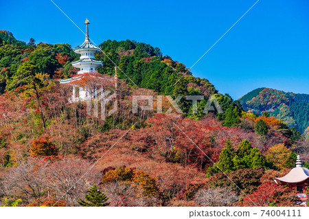 (Saitama Prefecture) Autumn Hakuunzan Toriikannon Xuanzang Tower (Saitama Prefecture) Autumn Hakuunzan Toriikannon Xuanzang Tower 74004111