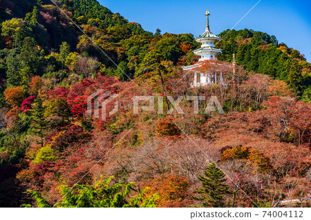 (Saitama Prefecture) Autumn Hakuunzan Toriikannon Xuanzang Tower (Saitama Prefecture) Autumn Hakuunzan Toriikannon Xuanzang Tower 74004112
