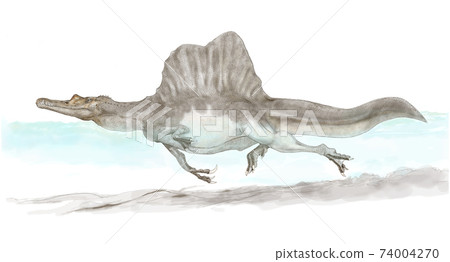 棘龍。根據發現新尾骨的理論進行的水下運動圖，它是半陸棲和半水生生物的大型獸腳類。 74004270