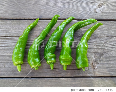 Sweet long bean sprout Sweet long bean sprout 74004350