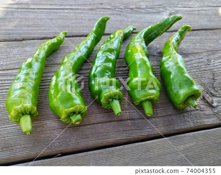 Sweet long bean sprout Sweet long bean sprout 74004355