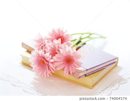 書籍和非洲菊 書籍和非洲菊 74004574