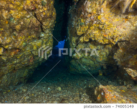 Inside an underwater cave covered with soft corals and shells (Mergui Archipelago, Myanmar) Inside an underwater cave covered with soft corals and shells (Mergui Archipelago, Myanmar) 74005149