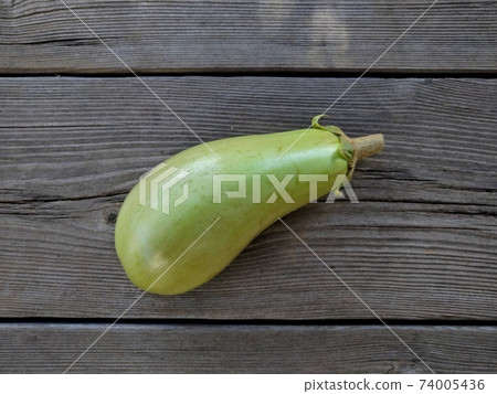 Blue eggplant Blue eggplant 74005436