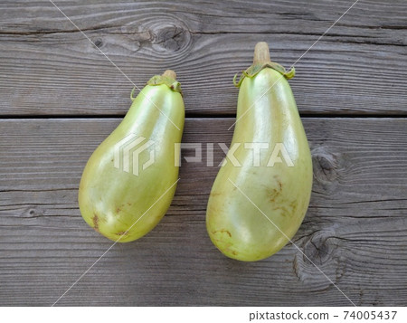 Blue eggplant Blue eggplant 74005437