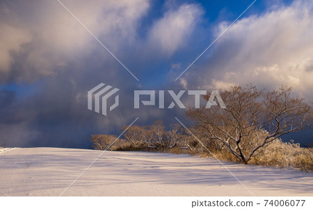 Hiraodai Nukisan summit in winter 74006077