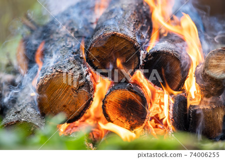 Close up of brightly burning wooden logs with yellow hot flames of fire. 74006255