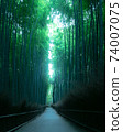 京都嵐山 74007075