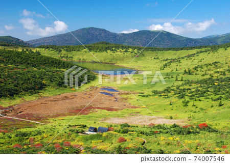 俯瞰杉平平和龜沼的美麗風景 74007546