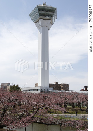 五棱郭五棱郭公園五棱郭塔 五棱郭五棱郭公園五棱郭塔 74008975