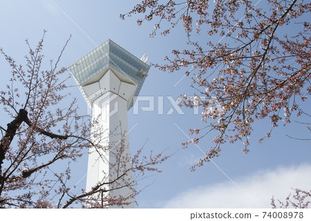 五棱郭五棱郭公園五棱郭塔 74008978
