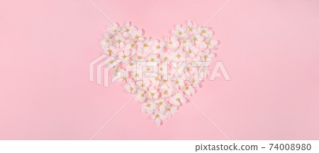 Festive floral banner with shape heart laid out of white apple tree flowers on gentle pink backdrop. Holiday Mother's day, Valentine's Day, Wedding. Top view, flat lay. Copy space for text. Festive floral banner with shape heart laid out of white apple tree flowers on gentle pink backdrop. Holiday Mother's day, Valentine's Day, Wedding. Top view, flat lay. Copy space for text. 74008980