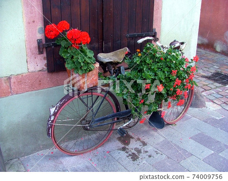 Floral bicycle Floral bicycle 74009756