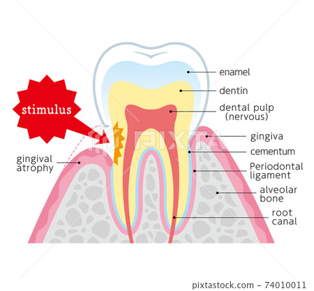 Explanation of hypersensitivity Illustration... - Stock Illustration ...