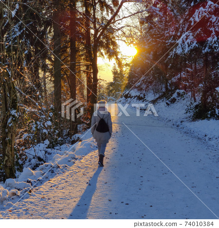 Woman hiking on snow in white winter forest berore the sunset. Recreation and healthy lifestyle outdoors in nature 74010384