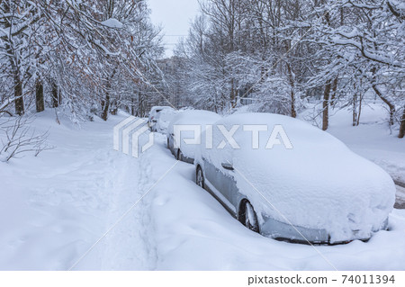 Vehicles covered with snow in the winter blizzard in the parking lot Vehicles covered with snow in the winter blizzard in the parking lot 74011394