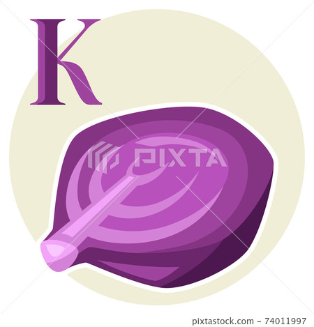 Illustration of stylized cabbage. 74011997