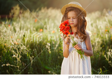 cute little girl in meadow with red poppies 74013333