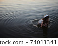 little cute girl with long hair on the lake 74013341