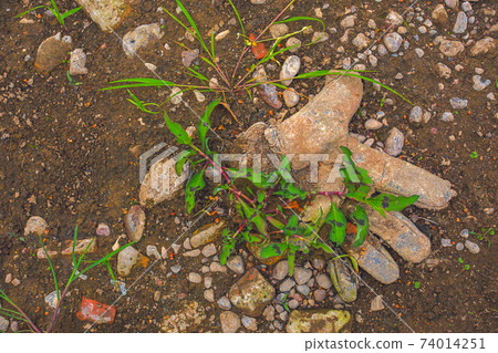 World problem with global warming, old glove on dryed earth. The desert. It's hot, the global shortage of water on the planet World problem with global warming, old glove on dryed earth. The desert. It's hot, the global shortage of water on the planet 74014251