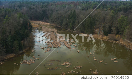 Pond in autumn, aerial view Pond in autumn, aerial view 74014960