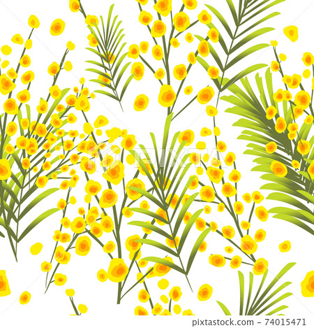 Bouquet of mimosa. From March 8. Seamless background. Vector illustration Bouquet of mimosa. From March 8. Seamless background. Vector illustration 74015471
