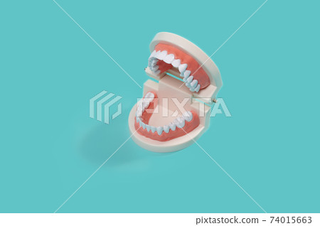 Dental Model of human teeth, jaw cast isolated on a blue background. Jaws teeth.Dentistry 74015663